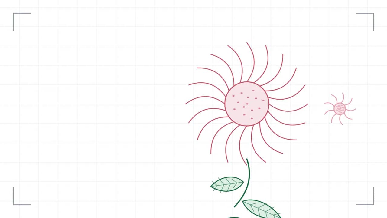 Nahsicht auf eine Korbblüte: zwanzig Zungenblüten stehen strahlenförmig um eine gepunktete Röhrenmitte. Der Stiel führt nach unten aus dem Bild, daran sitzen grosse Blätter mit sichtbaren Adern; seitlich stehen zwei kleinere Blüten.