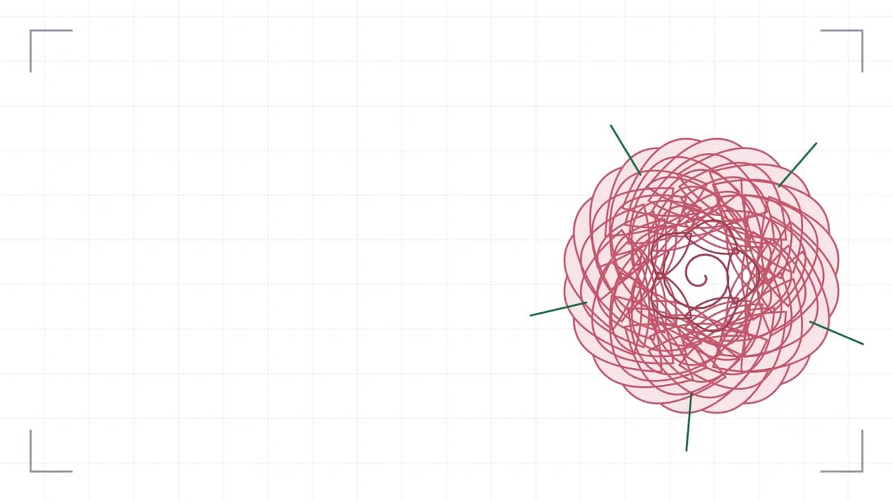 Rosenblüte von oben — eine grosse, am Bildrand angeschnittene Blüte: 38 Blütenblätter liegen in vier gegeneinander versetzten Kränzen um die Mitte, in der eine Spirale die Wuchsrichtung zeigt, darunter treten fünf Kelchblätter hervor. Dazu ein Knospen mit Blatt.