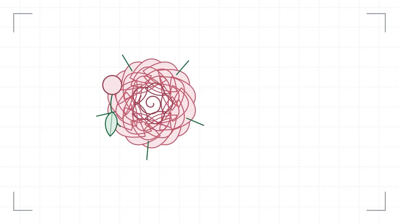 Rosenblüte von oben — eine einzelne Blüte: 24 Blütenblätter liegen in drei gegeneinander versetzten Kränzen um die Mitte, in der eine Spirale die Wuchsrichtung zeigt, darunter treten fünf Kelchblätter hervor. Dazu ein Knospen mit Blatt.