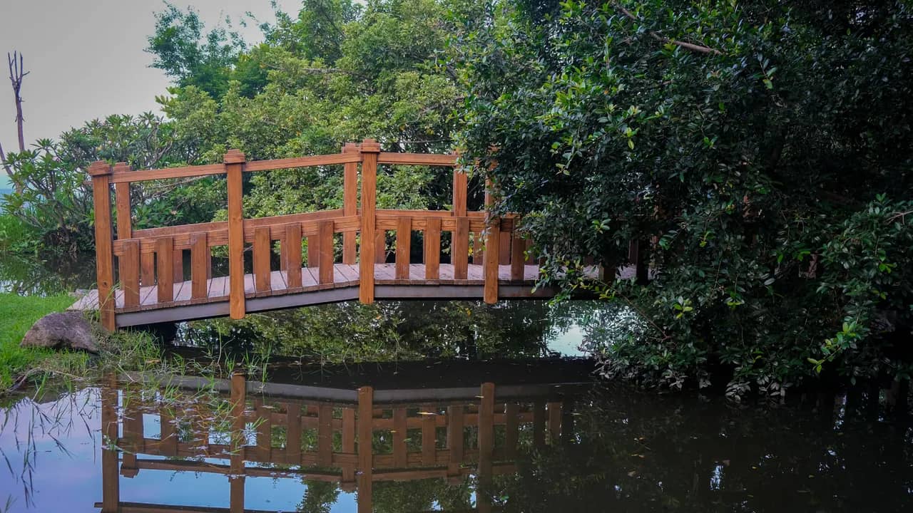 Holzbrücke mit Geländer über einem Teich, die sich im stillen Wasser spiegelt, umgeben von dichtem Grün.