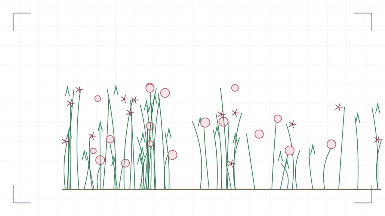 Blumenwiese in der Ansicht: 23 Halme unterschiedlicher Höhe stehen über einer Bodenlinie, mit drei verschiedenen Blütenformen — runde Köpfe, sternförmige Strahlen und schmale Rispen. Die Bestandsdichte nimmt von der linken zur rechten Bildseite hin ab.