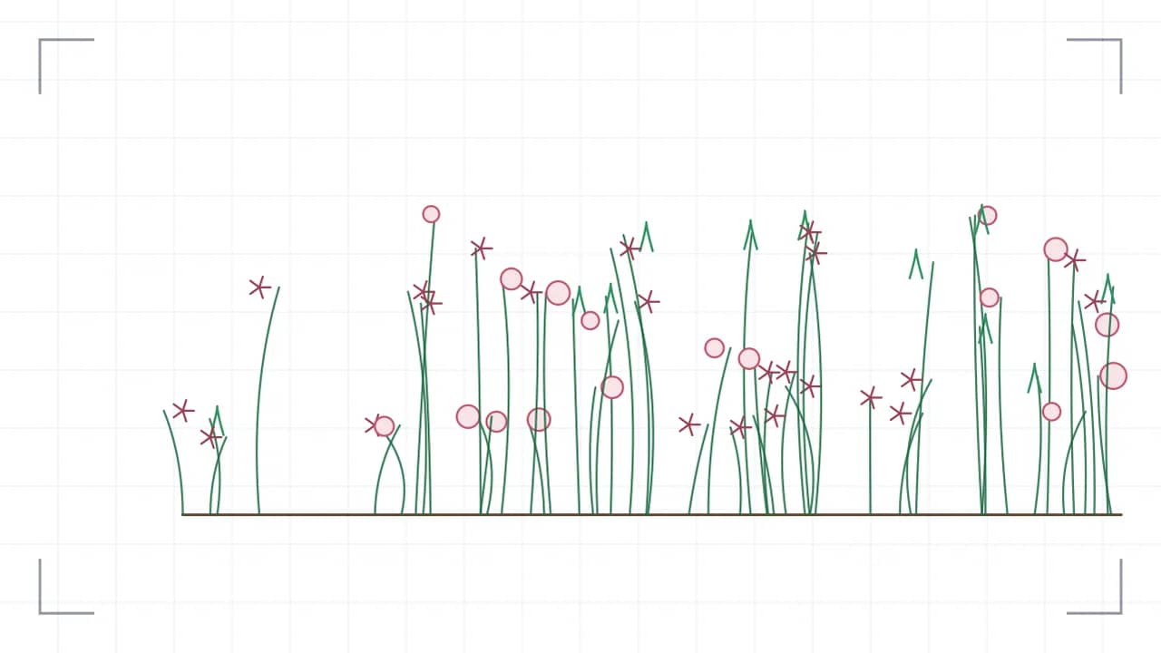 Blumenwiese in der Ansicht: 23 Halme unterschiedlicher Höhe stehen über einer Bodenlinie, mit drei verschiedenen Blütenformen — runde Köpfe, sternförmige Strahlen und schmale Rispen. Die Bestandsdichte nimmt von der rechten zur linken Bildseite hin ab.
