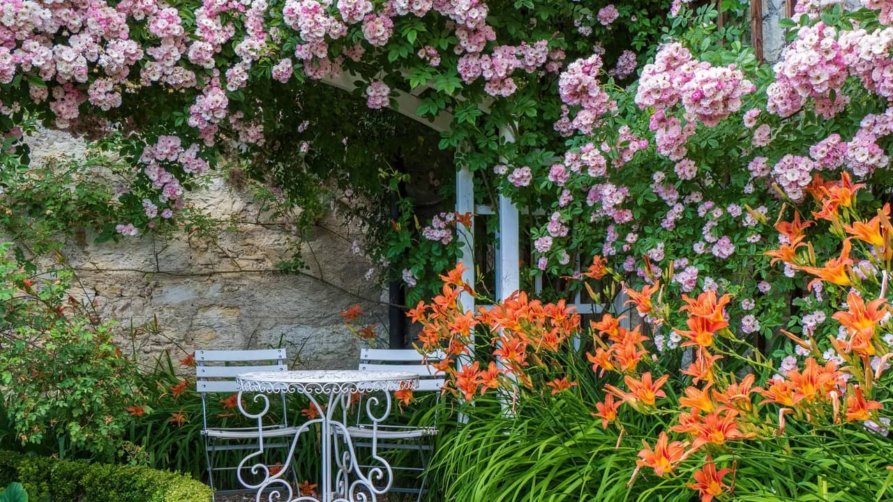 Sitzplatz mit weissem Gartentisch und zwei Stühlen unter einem Bogen aus rosa blühenden Kletterrosen, davor orange Taglilien.