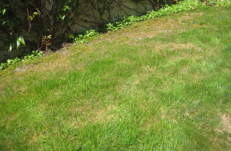 Garten8.jpg