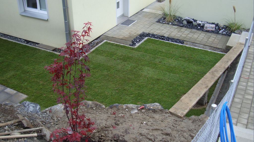 DSC005.jpg