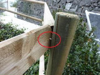 P1000316_Vga_QVga.JPG