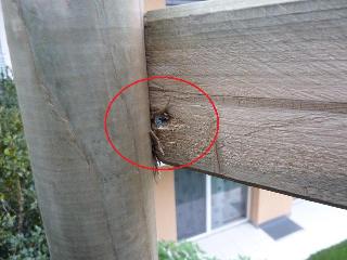P1000317_Vga_QVga.JPG