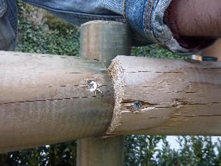 P1000318_Vga_QVga.JPG