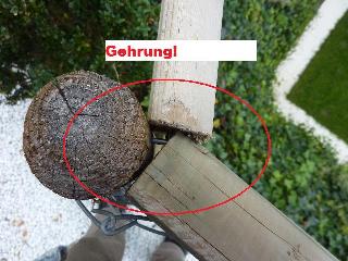 P1000319_Vga_QVga.JPG