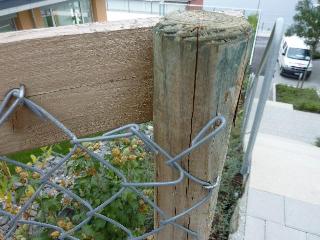 P1000324_Vga_QVga.JPG
