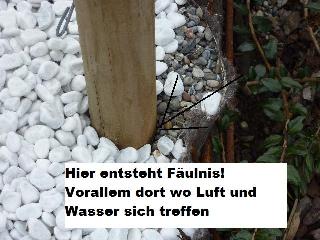 P1000325_Vga_QVga.JPG