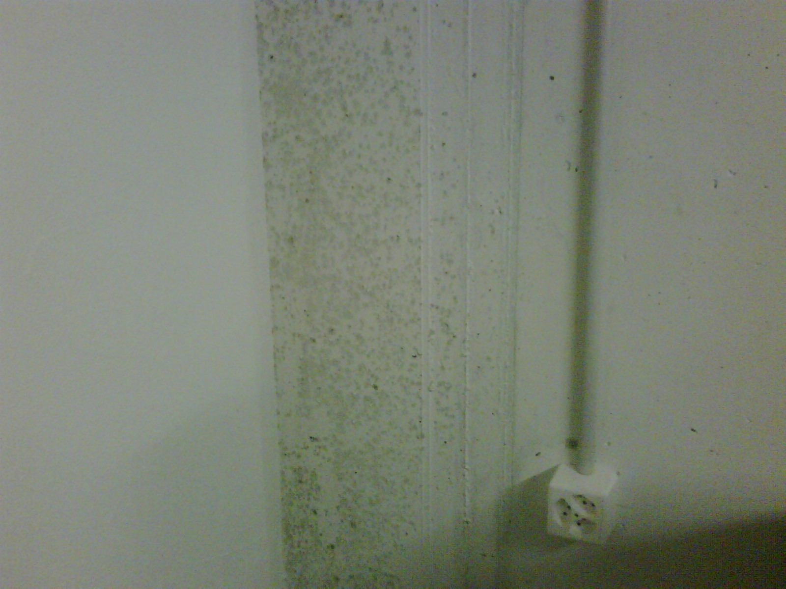 IMG00169-20100104-2053.jpg