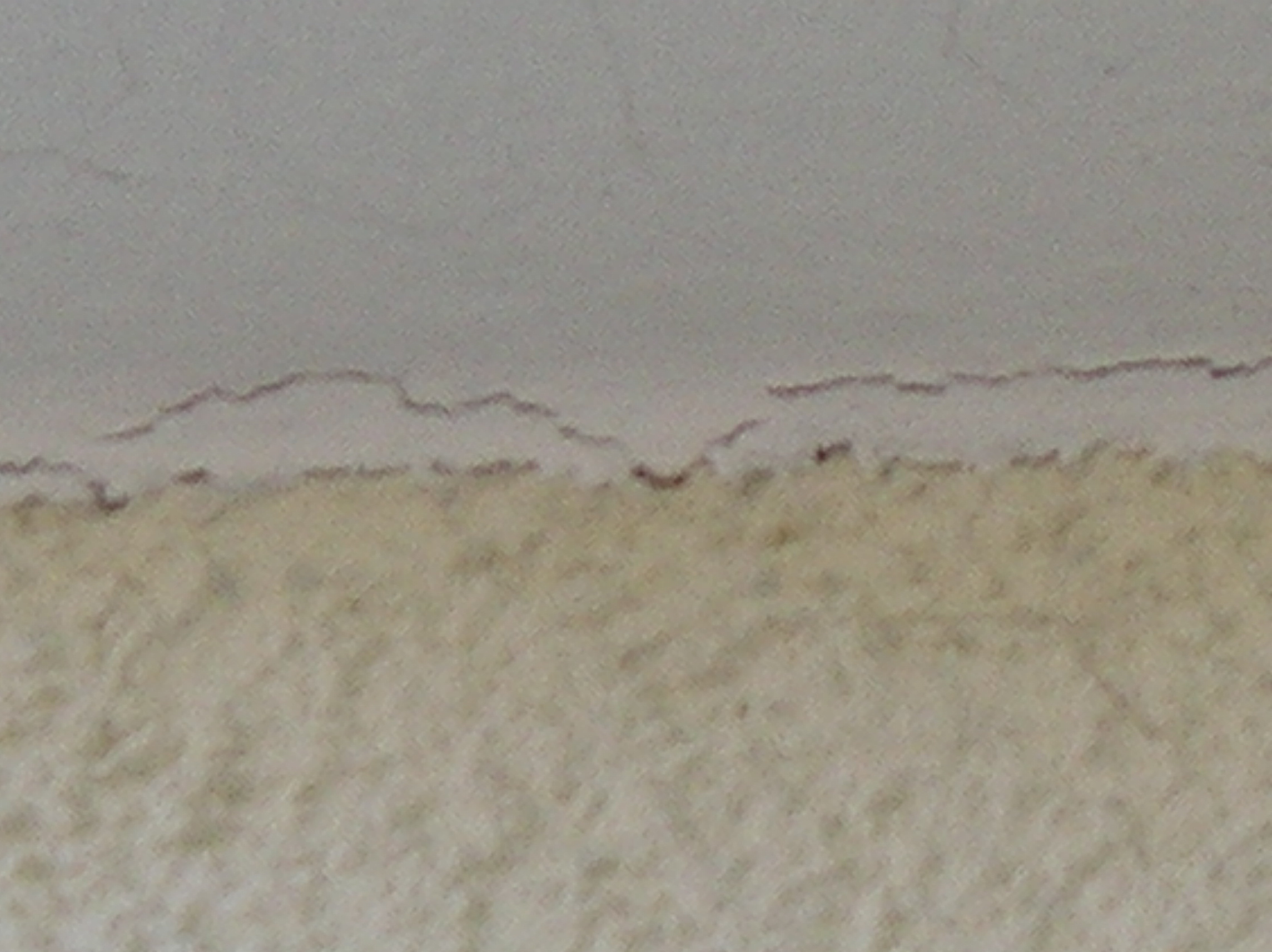 IMGP0012.JPG