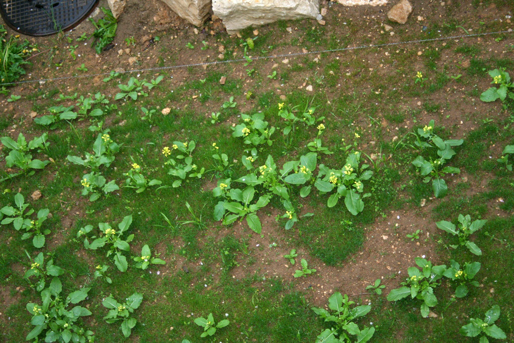 04_IMG_6180.jpg