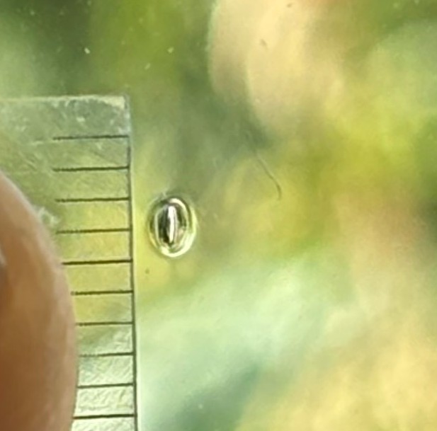 glasdetail.jpg