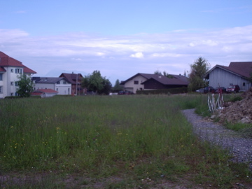 P6050002.jpg