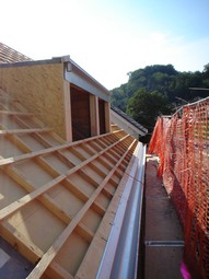 hp_27070604.JPG