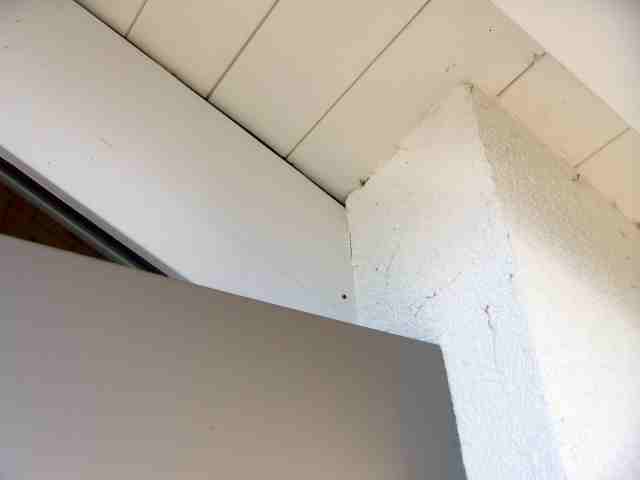 DSCN02540002.JPG