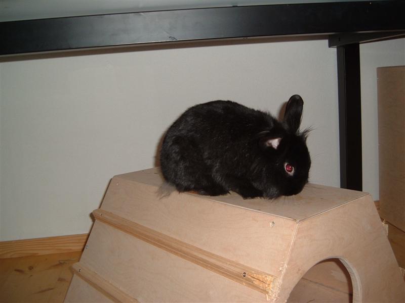 DSCF1007 (Medium).JPG