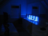 IMG_2804 (Medium).JPG