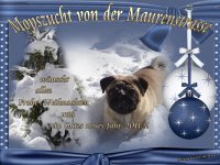 weihnachtsbild.jpg