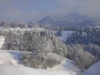 PICT2979.JPG