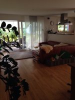 ImageUploadedByHaus-Forum.ch1417725489.086761.jpg