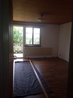ImageUploadedByHaus-Forum.ch1433190340.595516.jpg