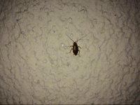 IMG_3173.JPG