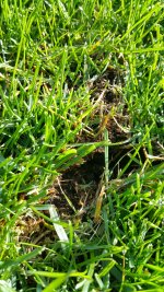 20150912_100020_resized.jpg