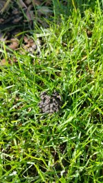 20150912_095957_resized.jpg