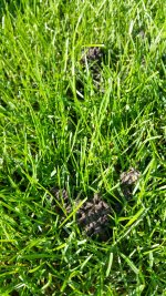 20150912_100007_resized.jpg