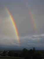 IMG_1056.jpg