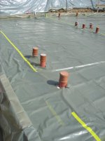 IMG_1452.jpg
