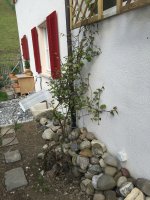 IMG_4744.JPG