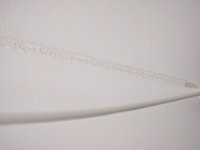 IMG_20170519_171429.jpg