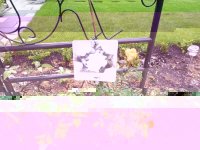 post-1756-1369220589,5767.jpg