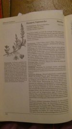 post-1630-1379870659,206.jpg