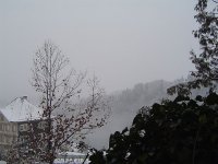 post-645-0-06331800-1421499118.jpg