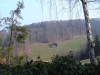 post-645-0-44756400-1426751167.jpg