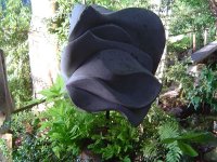 teichbeet-18.jpg.77ec3a8fc61da59de6f9058bffa5d5b1.jpg
