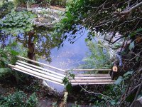Teich-Pflanzgestell-4.jpg.420cb158cb792bbae5b10fd3dfc108d0.jpg