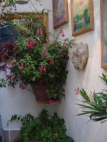 fuchsia-1.jpg.fc5bdfd903715620fbd658a6d15c3ede.jpg