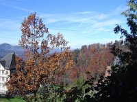 herbst-2015-1.jpg.bd181055be828fca9bab573c0781d21d.jpg