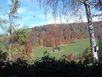 herbst-2015-2.jpg.db89b12773c7c710c3ed566ca5f0fd4d.jpg