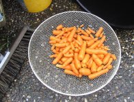 BILD2821.JPG.423be0dfc044d1206f5f7639a962f50d.JPG
