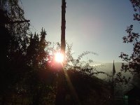 herbst-2015-4.jpg.5b580eb0cc7bd0ed9cc30d971ed8bee6.jpg