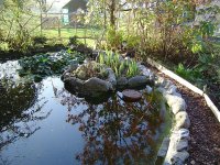 herbst-2015-5.jpg.b277b44b89fbbda14c584740e934a0b9.jpg