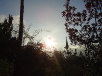 herbst-2015-7.jpg.168f5dc428ba71410e00f4f04526991c.jpg