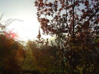 herbst-2015-8.jpg.4b9d2ab68adf6ee9dce9eb58b6c97824.jpg